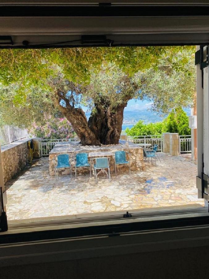 Apartment Marina House Farsa