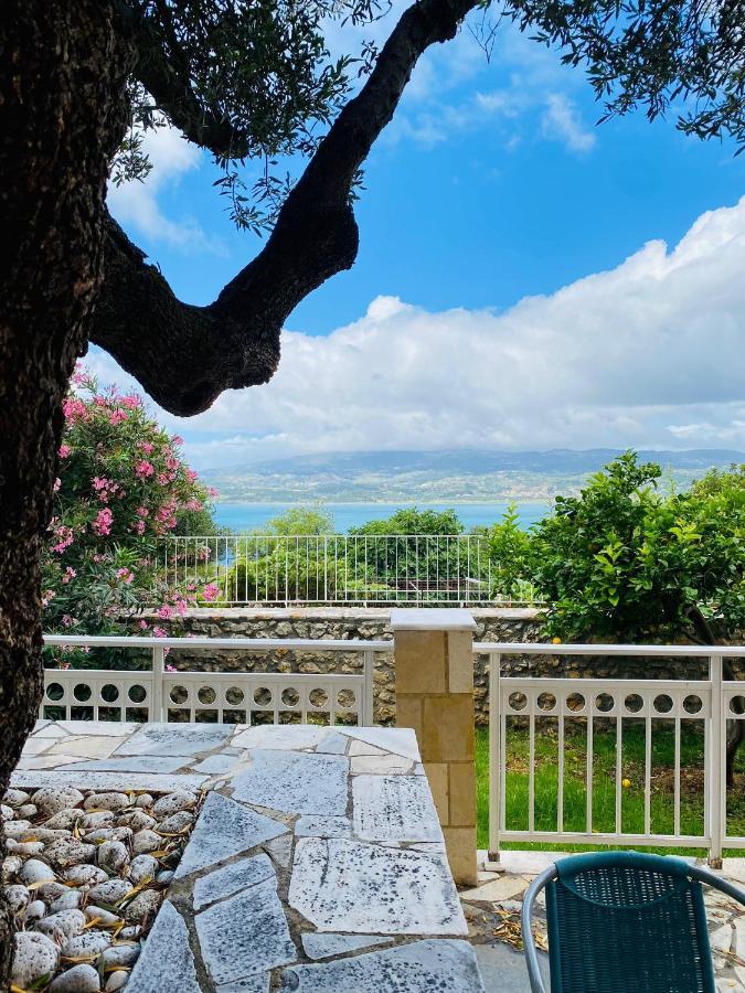 Marina House Farsa
